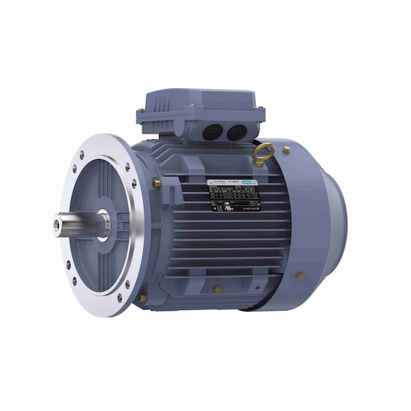 Marathon Motor 7.50 Kw General Purpose Low Voltage Iec Motor, 3 Phase, 3600 Rpm, 230/460 V, 132S R230 - main